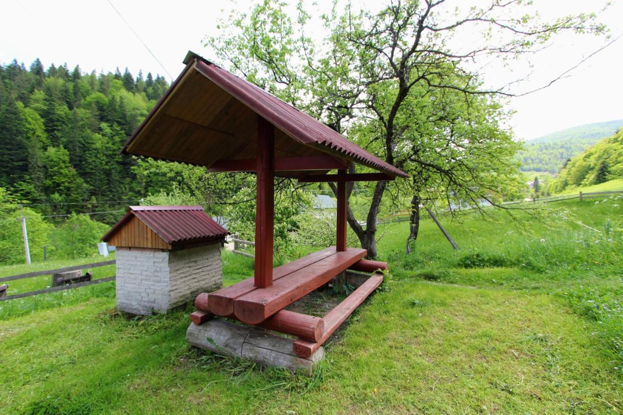 Котедж "Карпатський Краєвид" Jaremtsje Eksteriør bilde